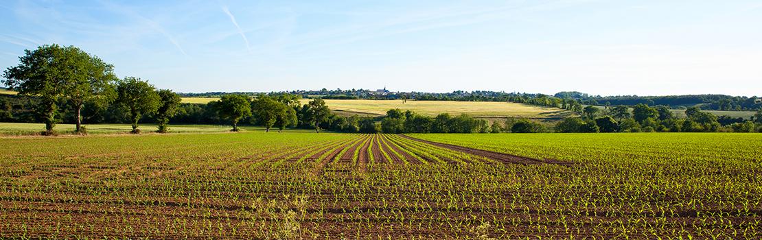 Tame-Water agricultural sector